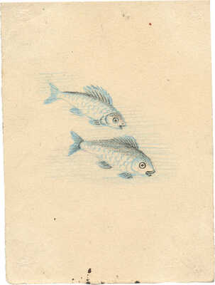 Якобсон Александра Николаевна. Рыбы. Иллюстрация к сказке: Тычина П.Г.Ивасик-Телесик; пер. С. Маршака. Л.: Детиздат, 1939, с. 5